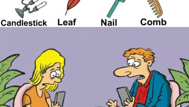 Look a little deeper — can you find the candlestick, the leaf, the nail, and the comb?