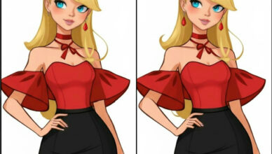 Only those with razor-sharp vision and an IQ over 140 can find all 5 differences! Are you up for the challenge?