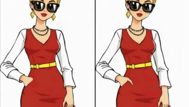 Only those with an IQ of 140 can spot all 5 differences. Check the first comment for the answer 👇