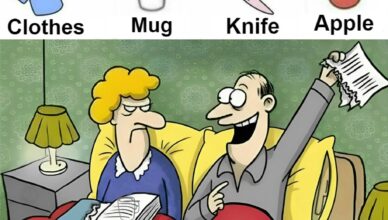 Look for: clothes, mug, knife, apple.