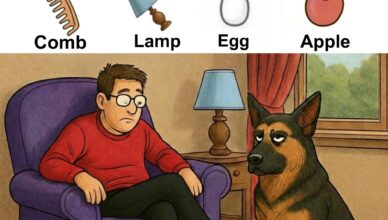 Can you spot the hidden objects?
