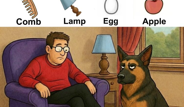 Can you spot the hidden objects?