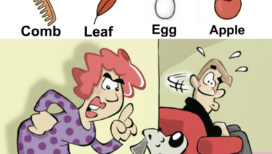 Find Comb, Leaf, Egg, Apple.