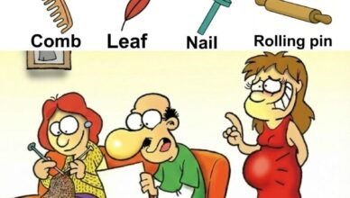 Can you spot the hidden comb, leaf, nail, and rolling pin?
