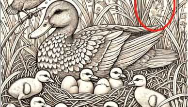 “Can you find the hidden hunter before 8 seconds run out? Only the keen-eyed will succeed.”