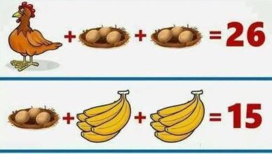 Solve This Math Puzzle 🧠