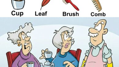 Your challenge: Find the Cup, Leaf, Brush, and Comb hidden in the image.