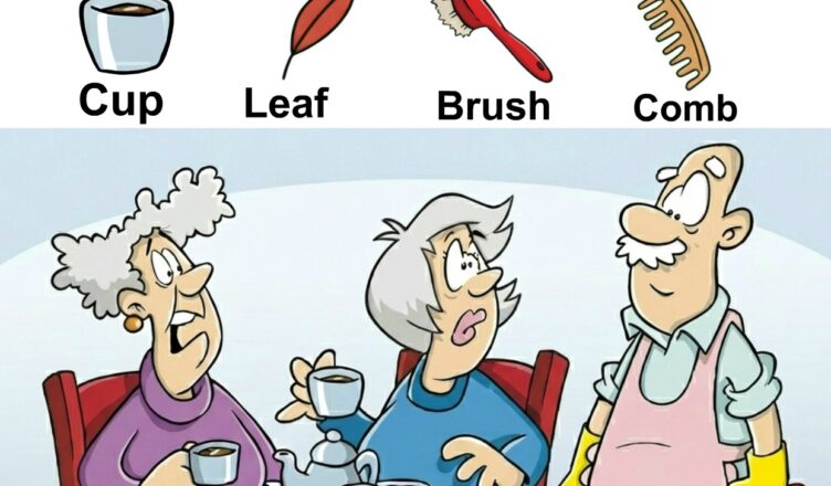  Your challenge: Find the Cup, Leaf, Brush, and Comb hidden in the image.