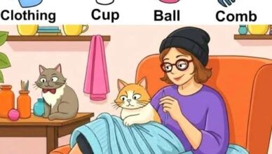 Hidden in the image are four objects: clothing, a cup, a ball, and a comb.