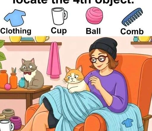 Hidden in the image are four objects: clothing, a cup, a ball, and a comb.