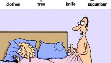 Find the clothes, the tree, the knife, and the cucumber hidden in this image.