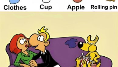 Take a close look and test your observation skills!