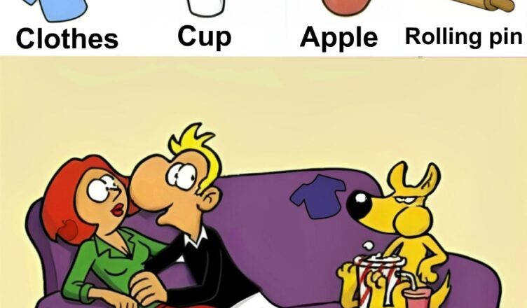 Take a close look and test your observation skills!