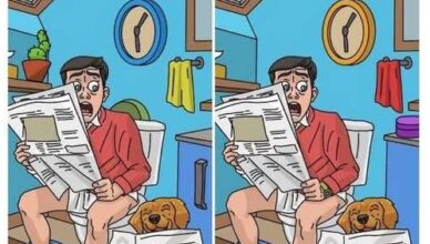 🔎 Take on the Ultimate “Find 10 Differences” Challenge!