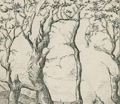  How Many Mystical Creatures Can You Spot?