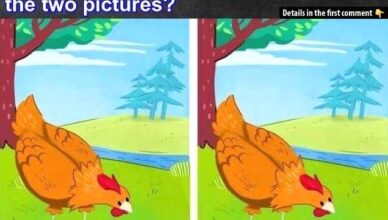 Test your observation skills with this fun challenge! At first glance, the two pictures look identical—but there are 8 subtle differences hiding in plain sight. Only those with the sharpest eyes will catch them all!