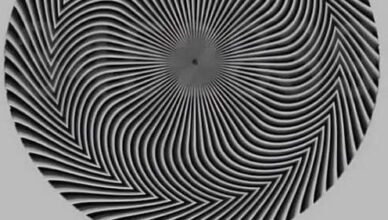 Only a select few can spot the hidden number in this optical illusion… can you?