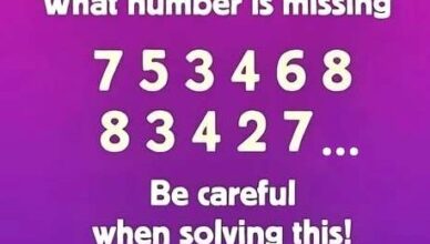 “It may seem easy at first, but a hidden number is cleverly waiting to be discovered!”
