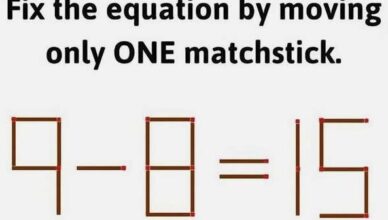 Can You Fix This Equation with Just One Matchstick?