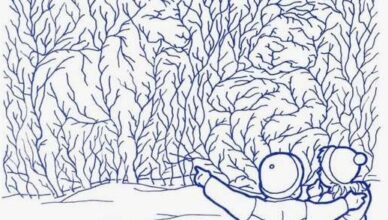 Hidden Forest Challenge: Can You Spot the Bear, the Squirrel, and the Elk?