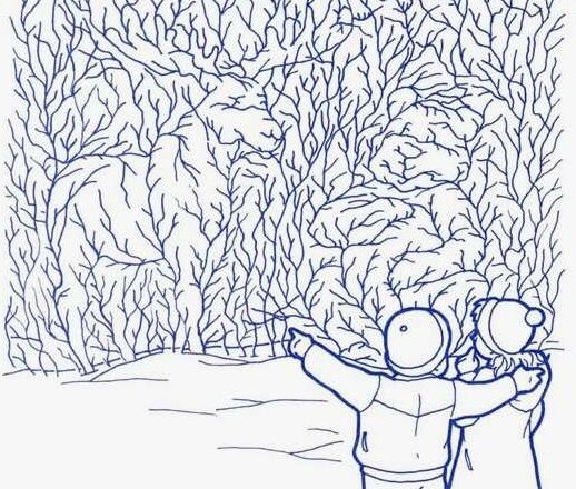 Hidden Forest Challenge: Can You Spot the Bear, the Squirrel, and the Elk?