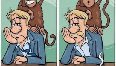 Dive into this thrilling picture puzzle and find the 7 hidden differences! Only the sharpest eyes will conquer this challenge.