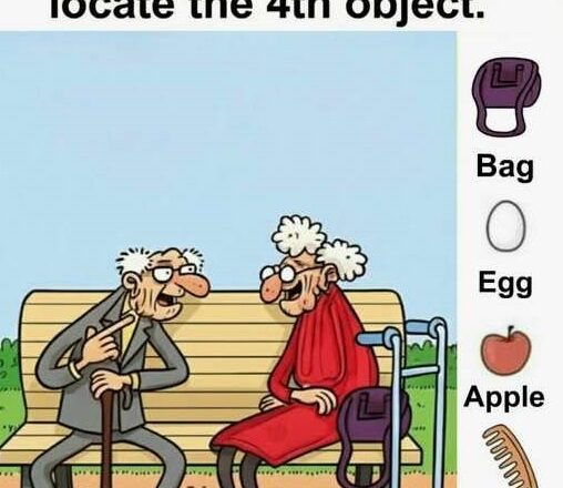 “Spot the hidden egg, the mysterious bag, the forgotten comb, and the gleaming apple.”