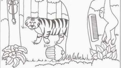 Find the hidden comb, cupcake, hat, and mouse. Find the hidden comb, cupcake, hat, and mouse.