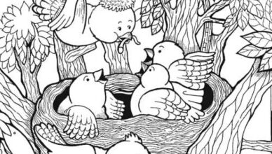 Can you spot the T-shirt, fish, kite, and artichoke hidden in the scene? Look closely! Can you spot the T-shirt, fish, kite, and artichoke hidden in the scene? Look closely!