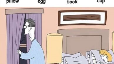 Only 2% of People Can Spot the Book, Egg, Cup, and Pillow. Only 2% of People Can Spot the Book, Egg, Cup, and Pillow.