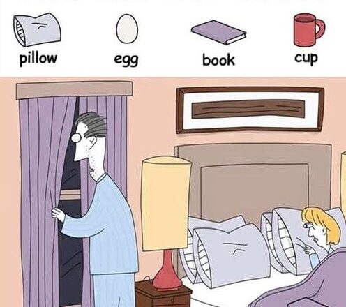 Only 2% of People Can Spot the Book, Egg, Cup, and Pillow.