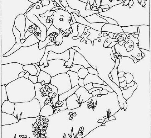 “Can you spot the heart, the rabbit, the chicken drumstick, and the fish? Only 3% of people find them all!”