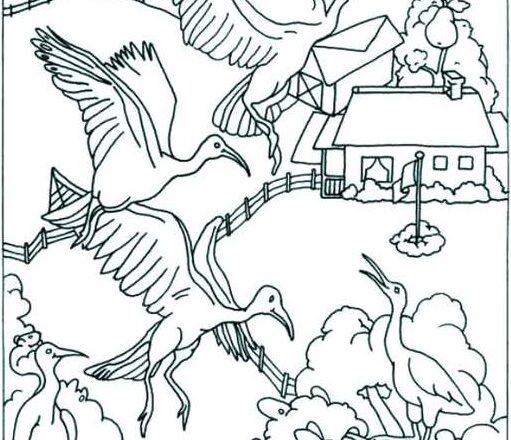 Spot the hidden Pear, Apple, Bear, and the elusive Number 7—can you find them all before time runs out?