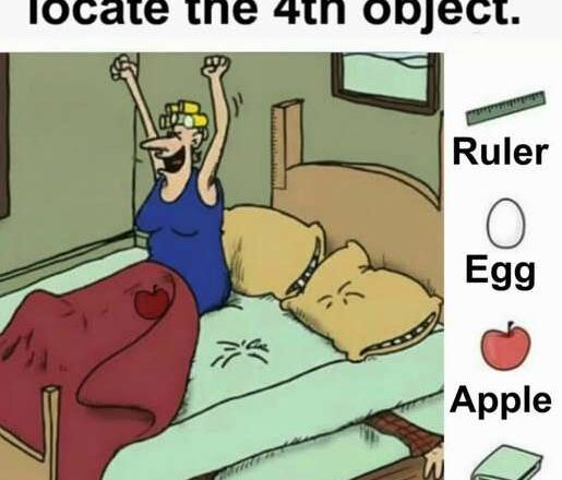 After hours of searching, I still can’t find the ruler, the apple, the egg, or the book — and it’s driving me crazy.