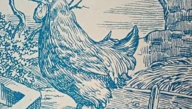 Only those with razor-sharp eyesight can spot the hidden man in this picture.