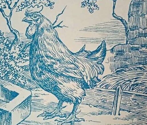 Only those with razor-sharp eyesight can spot the hidden man in this picture.