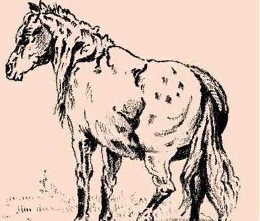 Put your vision to the ultimate test—can you identify the true owner of the horse hidden in the image? 👀