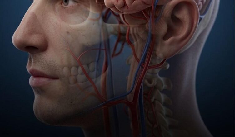 Aneurysm: The silent danger you can’t afford to ignore. Know the warning signs before it’s too late…