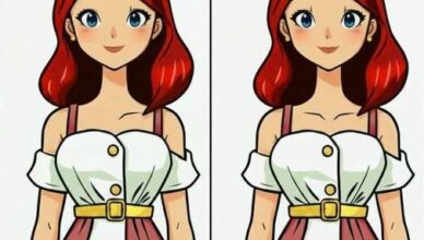 This challenge is a great test of your attention, concentration, and visual IQ.