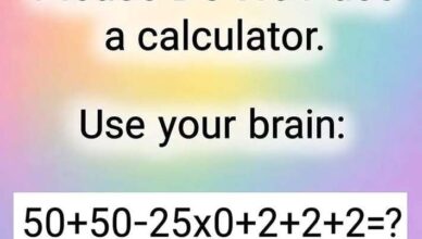 🧠 Use Your Brain — Can You Solve This Classic Math Puzzle?
