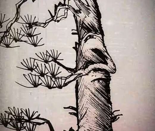 How Many Faces Can You Spot in This Mind-Bending Picture?