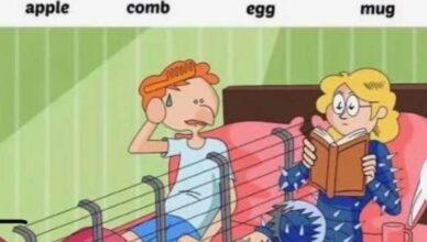 Find apple, comb, egg, mug.