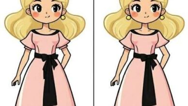 Only 1% of People Can Spot All 5 Differences in Time! 🔍⏳