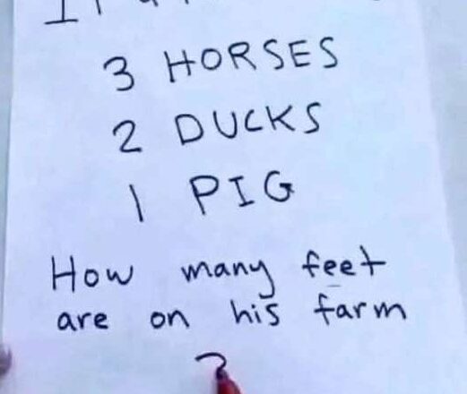 Take a close look and tell us: How many feet are on the farm?