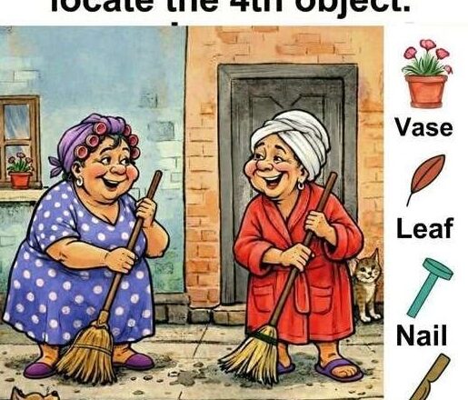 Only 1% of Observers Can Spot the 4th Hidden Object in This Picture!