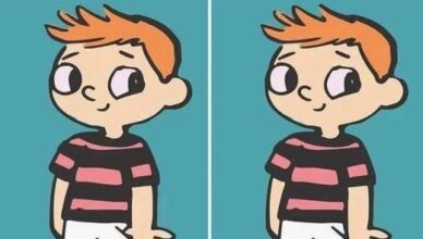 Only People With Sharp Eyes Can Find the Hidden Difference