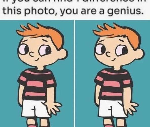 Only People With Sharp Eyes Can Find the Hidden Difference