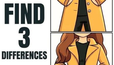 Test Your Observation Skills: Find the 3 Hidden Differences!
