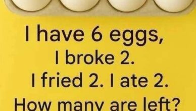 Can You Solve It? How Many Eggs Are Left in the End?