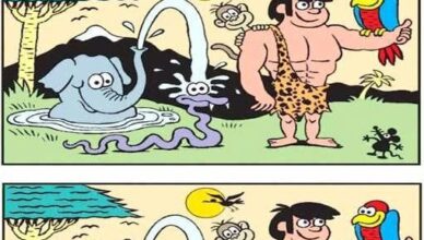 Can You Beat This Jungle Brain Teaser? Find 6 Differences!